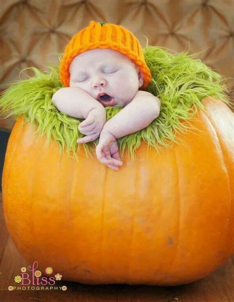 newborn pumpkin pictures|cute baby pumpkins.